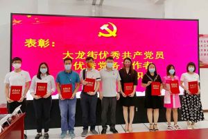 ly(中国)集团党支部荣获先进党组织称号、陈文舒党支部书记荣获优秀党