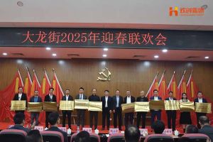 ly(中国)集团及旗下子公司荣获“2024年度高质量发展先进企业”